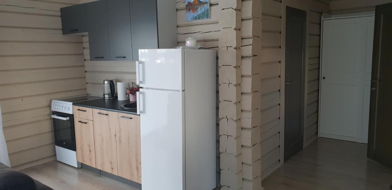 Lazariskio Apartamentai Martiniskenai المظهر الخارجي الصورة